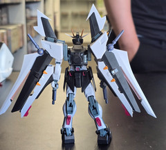 Robot Spirits STRIKE NOIR GUNDAM (A.N.I.M.E. Ver) Seed GAT-X105E Bandai Incomp.