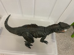 Jurassic World Hammond Collection Giganotosaurus Dinosaur Toy Figure Mattel 🦖