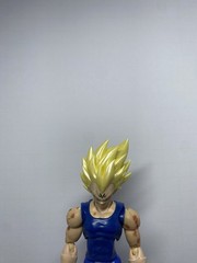S.H figuarts majin Vegeta /demoniacal fit/black hole toys as