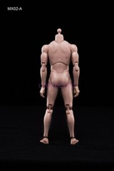 1/6 MX02-A Scale Europe Skin Male Figure Body Model Toys Fit For Head with Neck