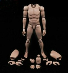 MX02-A 12″ Europe Skin Male Action Figure Body For 1/6 Head Sculpt Model Toy US