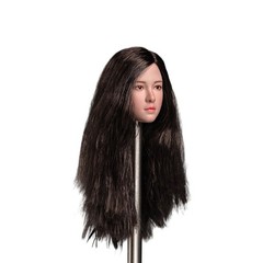 USA 1/6 Female Asian Black Hair Beauty Girl Head Sculpt Model For 12″ TBL Figure