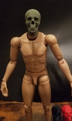 Custom 3d printed 1/6 skull head sculpt in multiple colors