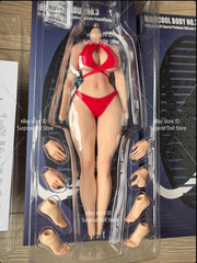 VERYCOOL VCD-03 1/6 Female Fighter Seamless Body Muscular Leg 12” Plump Figure