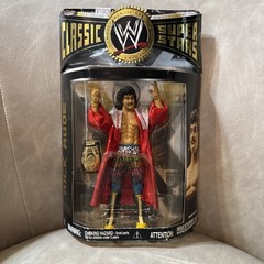 WWE wwf Jakks Classic Superstars Ravishing RICK RUDE Series 13 Red