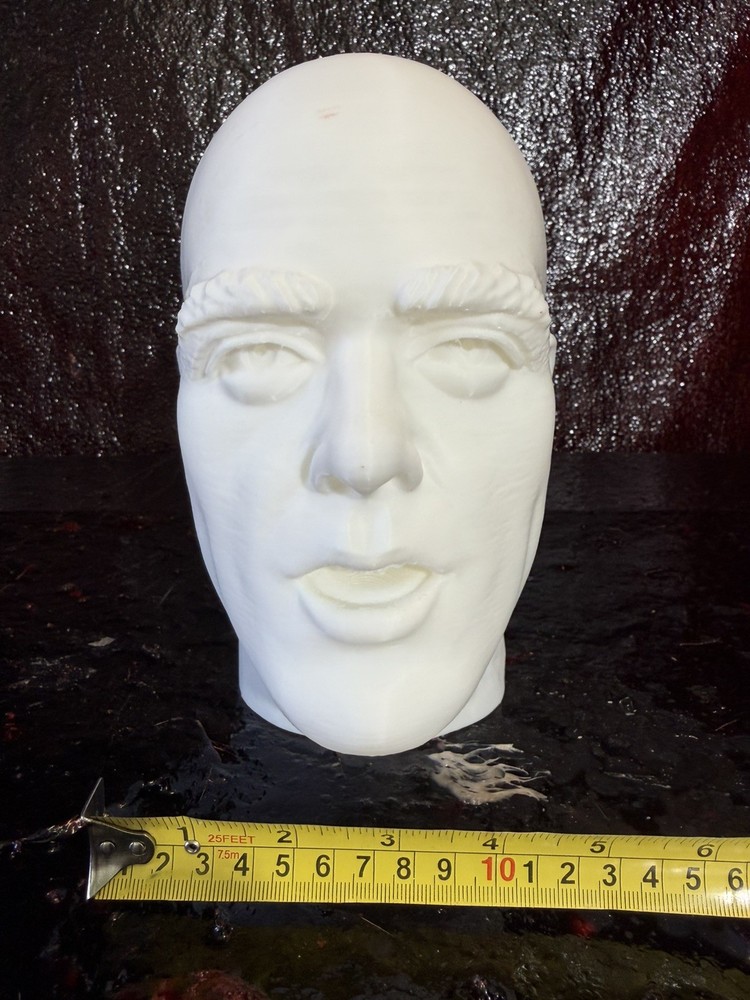 OOMPA LOOMPA 3D PRINT HEAD SCULPT 1:1 RATIO LIFE SIZE