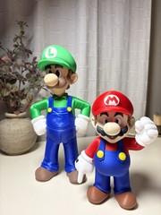 Luigi Super Mario 3D Printed