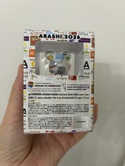BE@RBRICK ARASHI 2020 Bearbrick Bear Figure ABS Plastic Multicolor