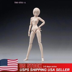 US 86TOYS 1:12 Female Joint Figure Head Body 6in Pale Skin Small Bust T86-ST01-A