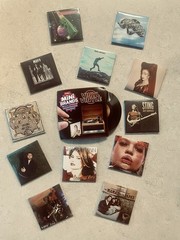 Mini Brands VINYL (REALLY WORKS VINYLS) *You Choose your vinyls*
