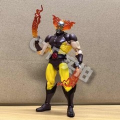 In Stock CT Toys Wolverine Hellverine Action Figure – Limited Edition New in Box