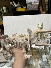 1988 Kenner Bone Age lot Incomplete? T-Rex Stegosaurus Triceratops Pterodactyl
