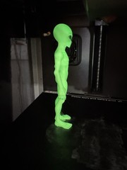 Area 51 Green Alien Action Figure! New Species! 5” Glow In The Dark Version!