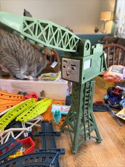 Thomas & Friends TALKING Cranky Delivery MOTORIZED Train Set See Description