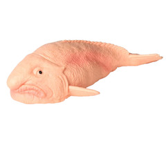 Blobfish Toy Action Figure Small Animal Figurine Doll Gift for Kids