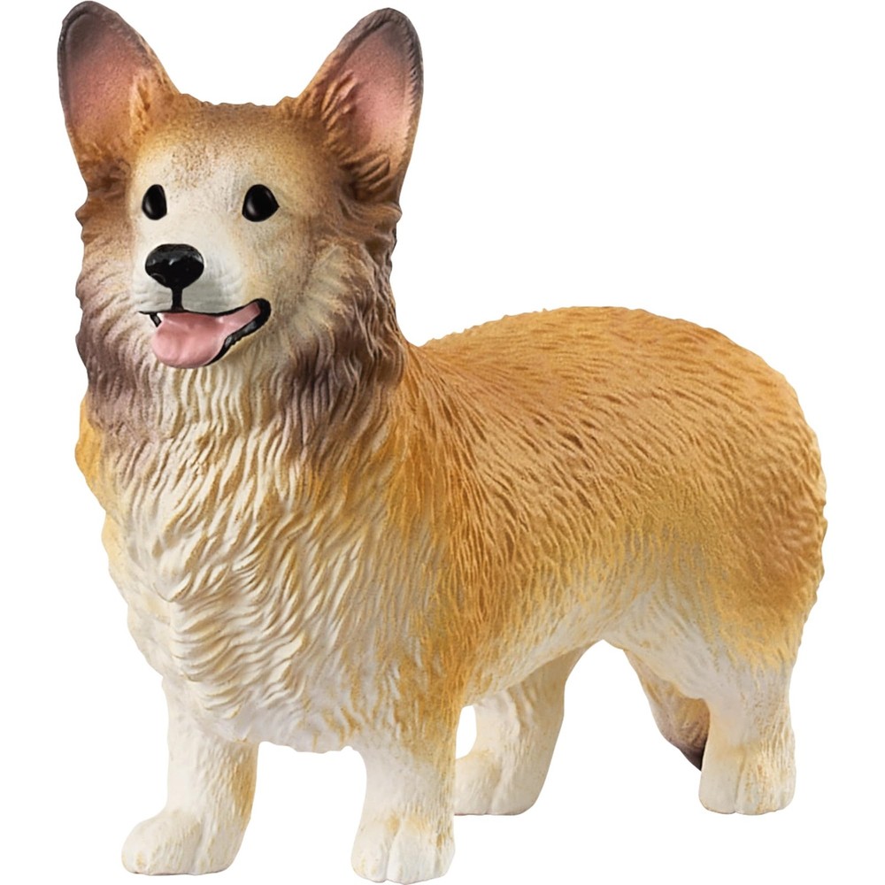 schleich 13999 Welsh Corgi, from 3 years FARM WORLD – Figurine, 2 x 5 x 4 cm