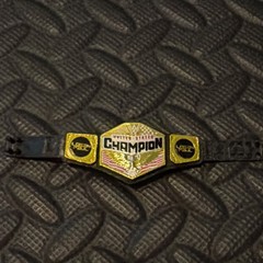 United States Championship Belt US Mattel Elite WWE Logan Paul Side Plates