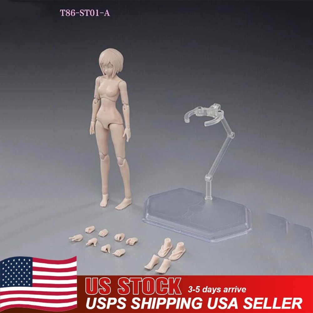 US 86TOYS 1:12 Female Joint Figure Head Body 6in Pale Skin Small Bust T86-ST01-A