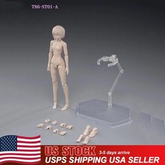 US 86TOYS 1:12 Female Joint Figure Head Body 6in Pale Skin Small Bust T86-ST01-A