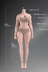 New ANT T307 1/6 Female Normal Sexy Large Bust Muscle Plump Body For 12”Figure