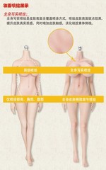 LDDOLL 29 M 1/6 Normal Partial painting+details+mechanical steel bones Body Toy