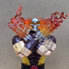 In Stock CT Toys Wolverine Hellverine Action Figure – Limited Edition New in Box
