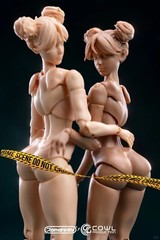 Romankey 1/12 Girl Flexible Figure Female 6″ Joint Body &Head Figure Doll