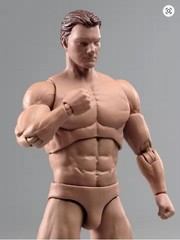 US 1:12 Flexible Muscular Male Strong Joint Body Head Hand Shape 6″ Figure