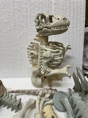 1988 Kenner Bone Age lot Incomplete? T-Rex Stegosaurus Triceratops Pterodactyl