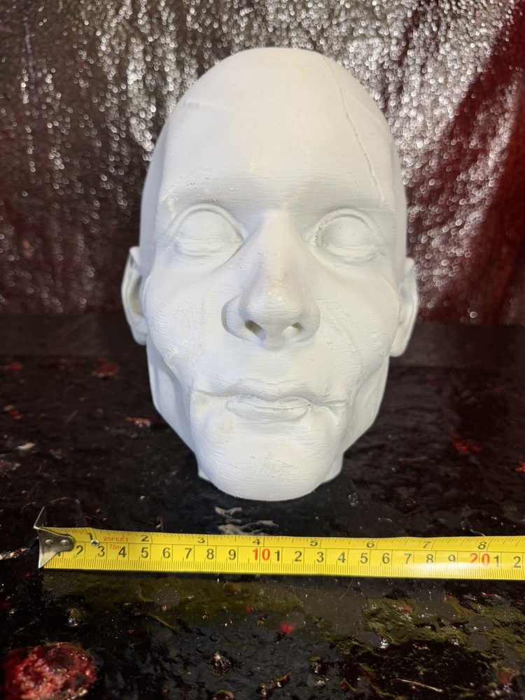 EDWARD SCISSORHANDS 3D PRINT HEAD SCULPT 1:1 RATIO LIFE SIZE