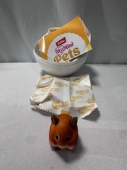 NEW Hot Release ZURU Mini Pets – OPENED- You Choose -You Make