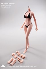 US 1:6 Pale Skin Medium Breast Female Makeup Seamless Figure Body With detail