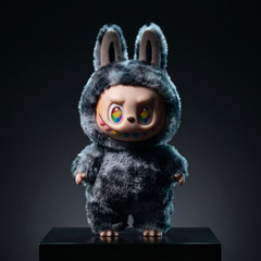 POP MART Labubu Grey V3 Secret ID Hidden Secret ID Grey Rare Labubus