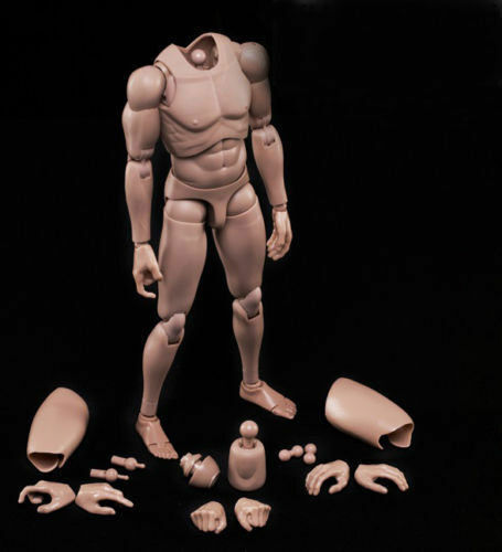 1/6 Scale Narrow Shoulder 12” Male Action Figures Body Caucasian Skin Men Nude