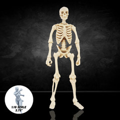 Bone White Skeleton Vitruvian H.A.C.K.S. Customizer Series Action Figure Blank