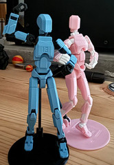 Dummy 13 Action Figure | 3D Printed Articulated Toy (AKA Titan 13 or Lucky 13)