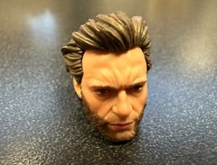 Hasbro Marvel Legends 6″ Scale DEADPOOL LOGAN (WOLVERINE HEAD ONLY) MINT X-MEN