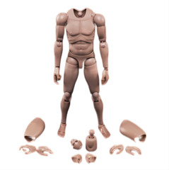 1/6 Male Muscular Body Slim 12inch Action Figure Doll For Superhero Young Asian