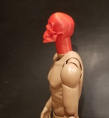 Custom 3d printed 1/6 skull head sculpt in multiple colors
