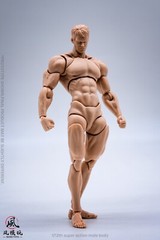 Wind Toys 1/1 Male Pale Flexible Joint Body 16cm Articulated 12″ Action Figure