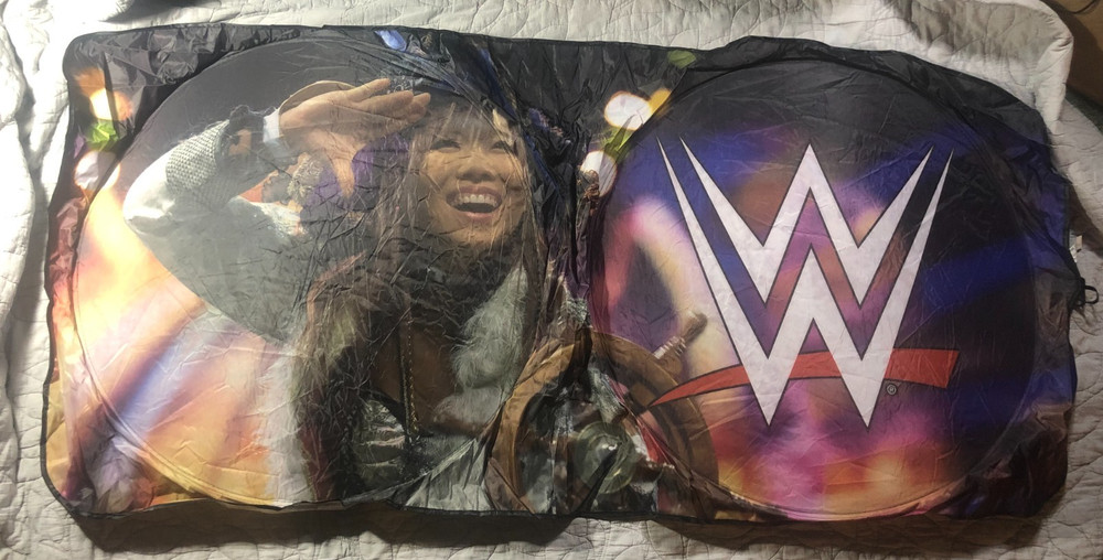 Kairi Sane WWE Slam Crate Collectible Loot Crate Pop Up Banner Car Shade