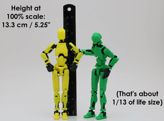 Dummy 13 Action Figure | 3D Printed Articulated Toy (AKA Titan 13 or Lucky 13)