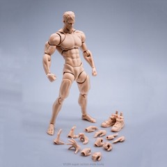 Wind Toys 1/12 Super Flexible Figure Pale Skin 6″ Male Joint Soldier Body & Head