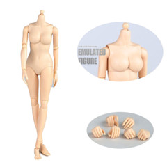 USA 1:6 Female Pale Body Model Middle Breast for 12″ Action Figure Head Toy