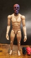 Custom 3d printed 1/6 skull head sculpt in multiple colors