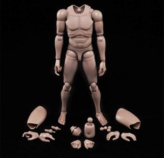 1:6 Scale Muscle Male Action Figure Europe Skin 12 Inch Flexible Male Figure …