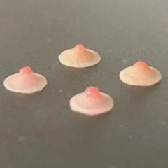 USA 1/12 Silicone Breast Chest Patches Nipple Accessories For 6inch Figure Body