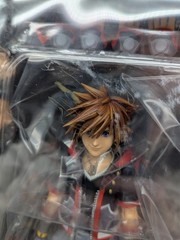 Kai Sora Ver.2 DX Edition, PVC Pre-Painted Action Figure