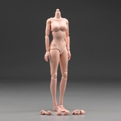 USA 1:6 Female Pale Body Model Middle Breast for 12″ Action Figure Head Toy