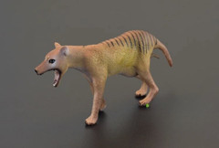 1/6 Simulation Thylacine Animal Model For 12″Action Scene 10.2*4.7cm